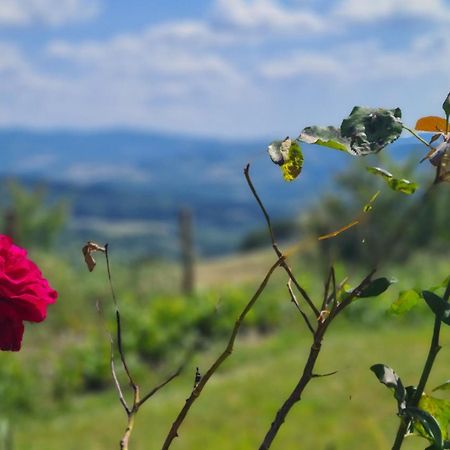 Appartamento Il Nido Volterra Eksteriør billede