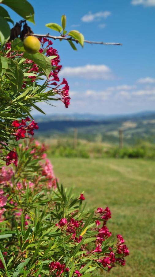 Appartamento Il Nido Volterra Eksteriør billede